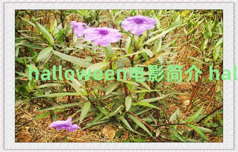 halloween电影简介 halloween theme百度百科